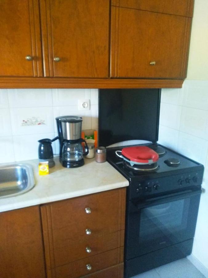 Chrysa'S House Apartment Эйон Экстерьер фото